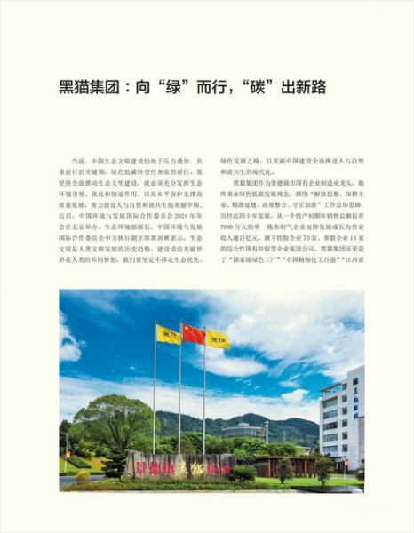 请问一下黑猫集团是做什么的