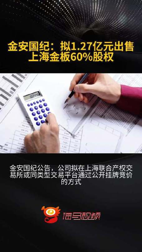 金安国纪有限公司企业简介