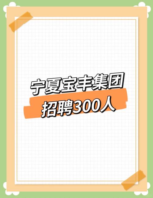 宁夏宝丰能源集团招聘