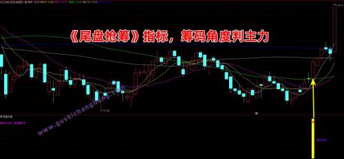 主力尾盘抢筹什么意思