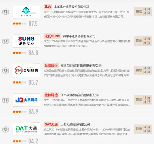 中国前十球墨铸铁管品牌