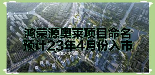 鸿荣源集团的开发项目