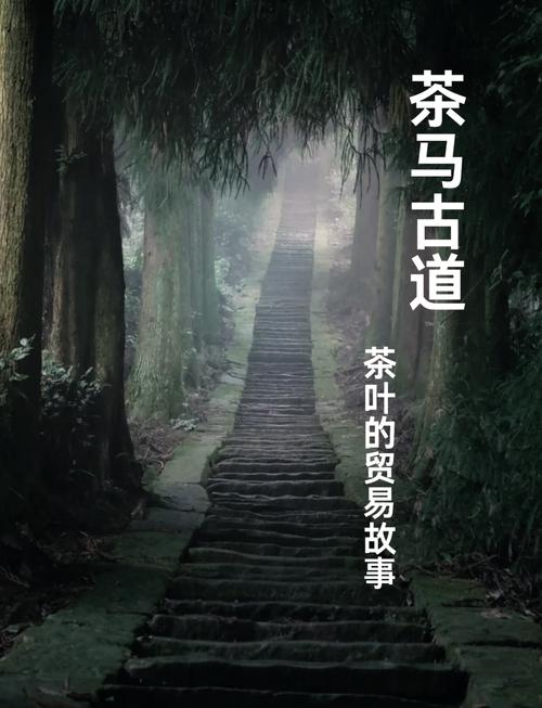“虚拟币”骗局曝光,有人被骗百万