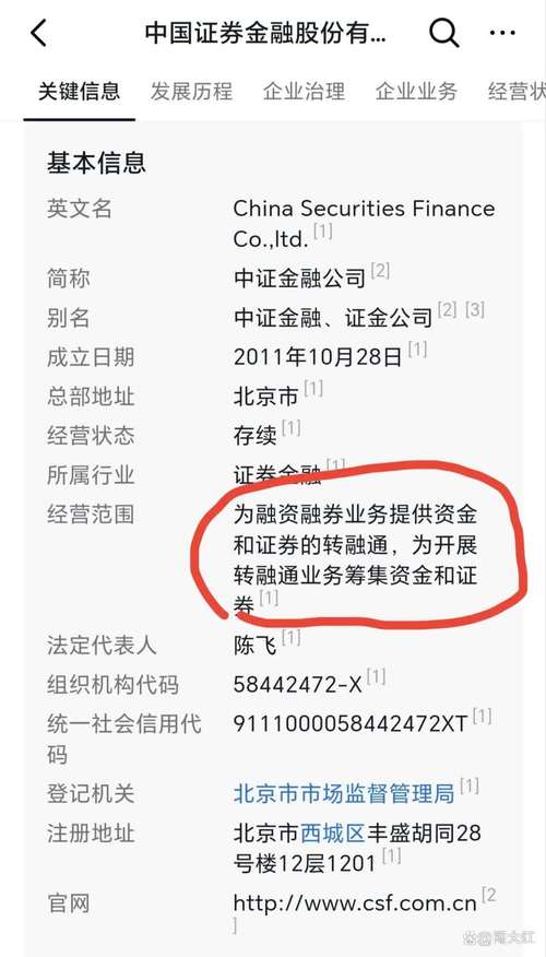 什么样的股票能填满权