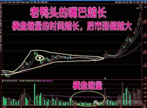 股票什么叫老鸭头形态
