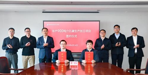 三孚股份是什么龙头?