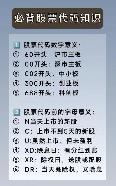 股票代码的各种开头都代表什么意思?