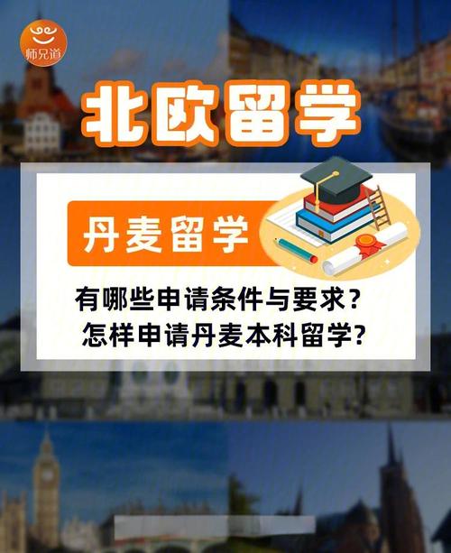 本科去丹麦留学条件有哪些