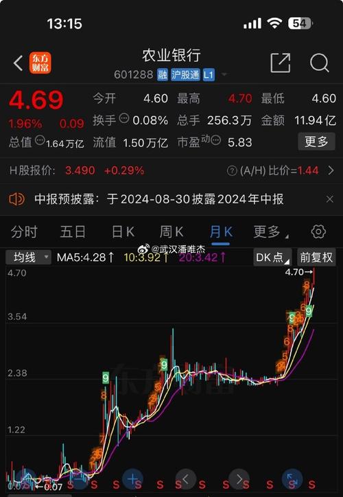 农业银行的股票上市这么久,股价为什么还这么低?请说明原因和历史新高...
