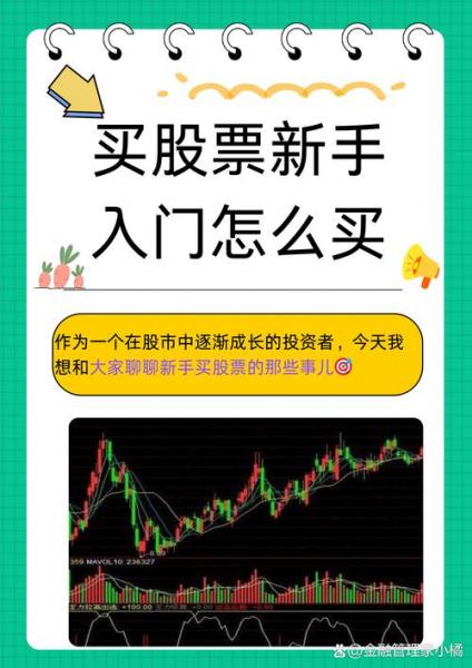 我想炒股,应怎样入手
