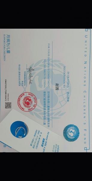 unicef纪念戒指是纯银的吗