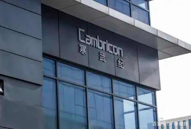 寒武纪这家公司怎么样