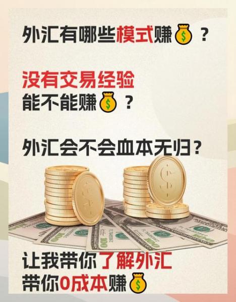 新手如何做好外汇,做外汇赚钱吗